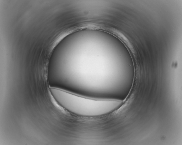 X0000092261433200709141017