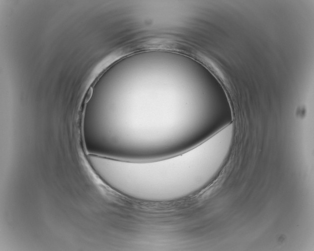 X0000092261434200709141017