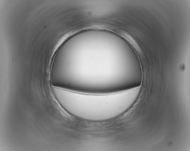 X0000092261436200709141017