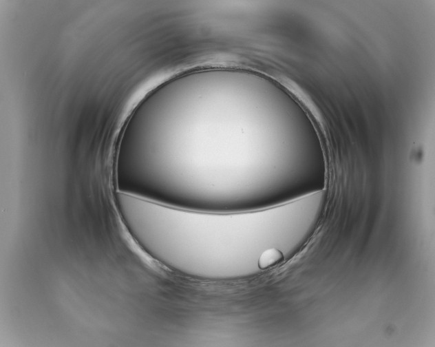 X0000092261437200709141017