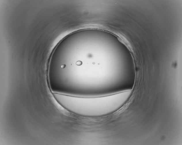 X0000092261438200709141017