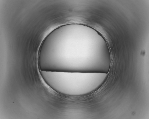 X0000092261439200709141017