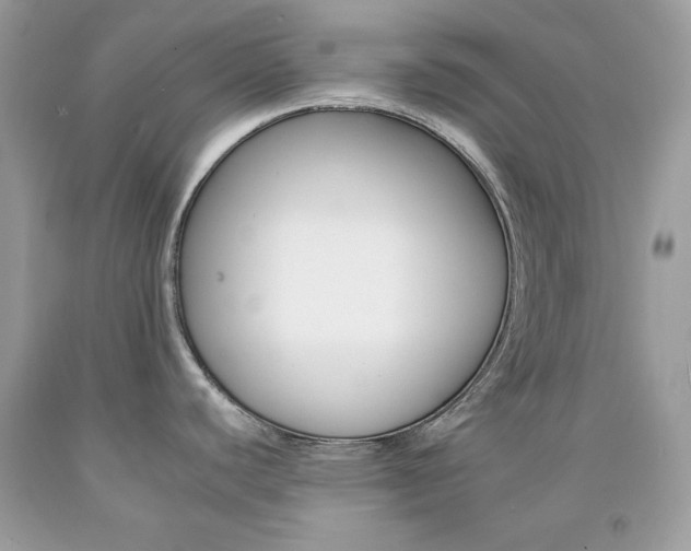 X0000092261440200709141017