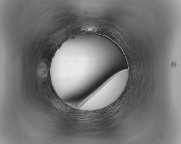 X0000092261442200709141016