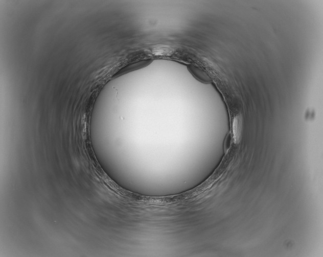 X0000092261443200709141016