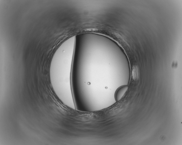 X0000092261444200709141016