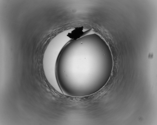 X0000092261445200709141016
