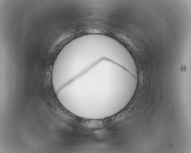 X0000092261446200709141016