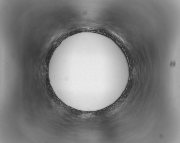 X0000092261447200709141016