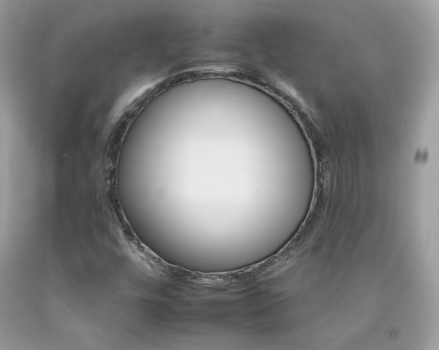 X0000092261448200709141016