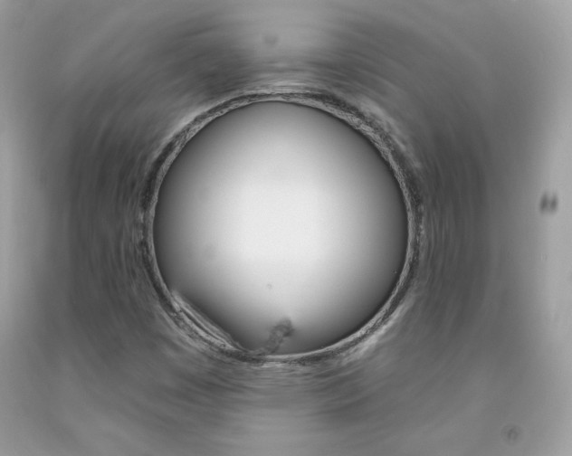 X0000092261449200709141016