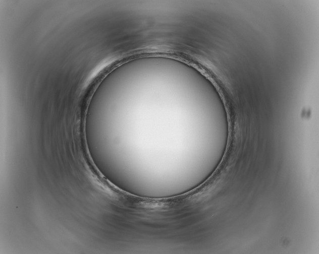 X0000092261450200709141016