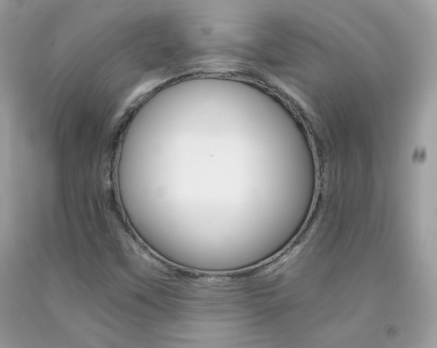 X0000092261451200709141016