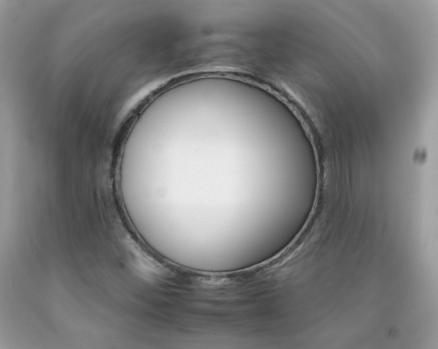 X0000092261452200709141016