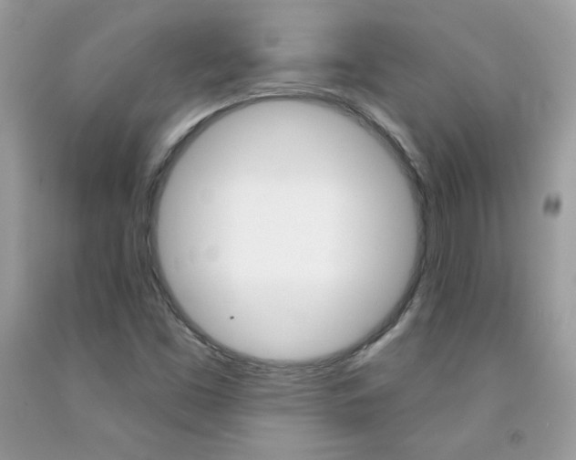 X0000092261453200709141016