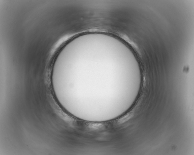 X0000092261454200709141016