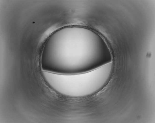 X0000092261455200709141016