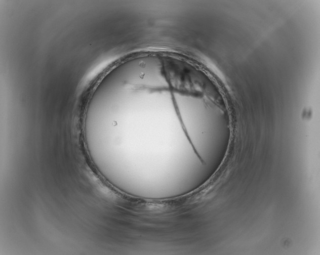 X0000092261456200709141016