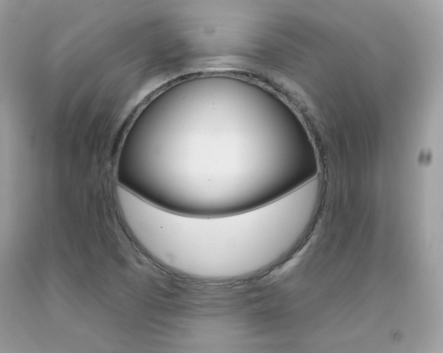 X0000092261457200709141016