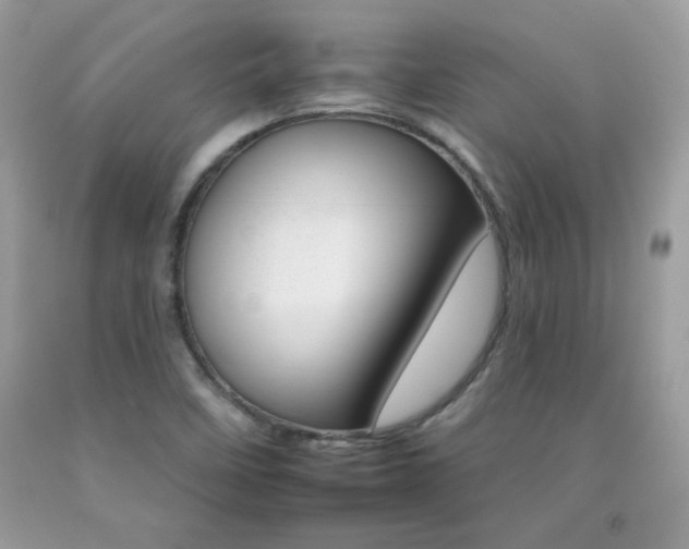 X0000092261458200709141016