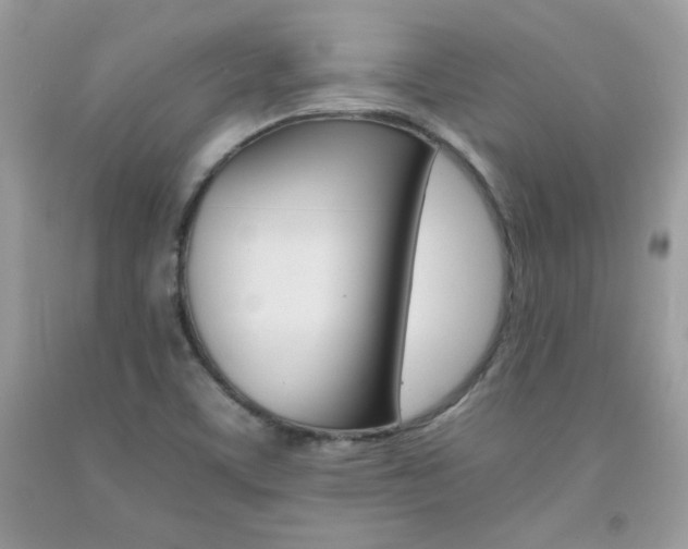 X0000092261459200709141016