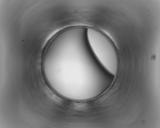 X0000092261460200709141016