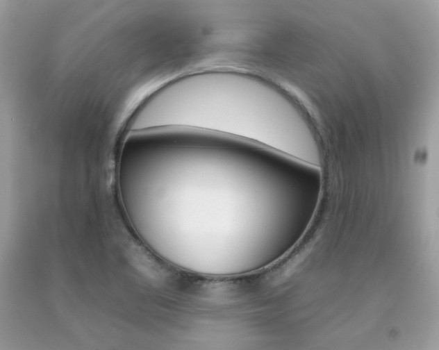 X0000092261461200709141016