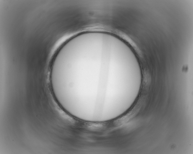 X0000092261462200709141016