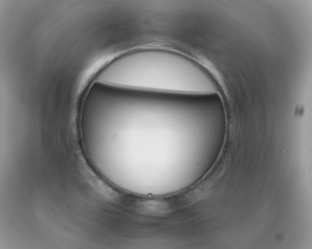 X0000092261464200709141016