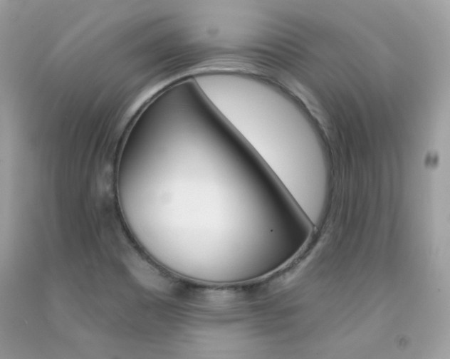 X0000092261465200709141016