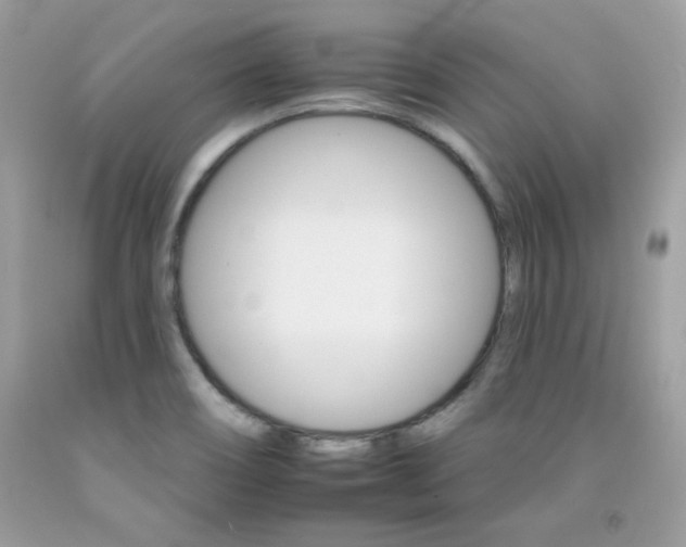 X0000092261466200709141016
