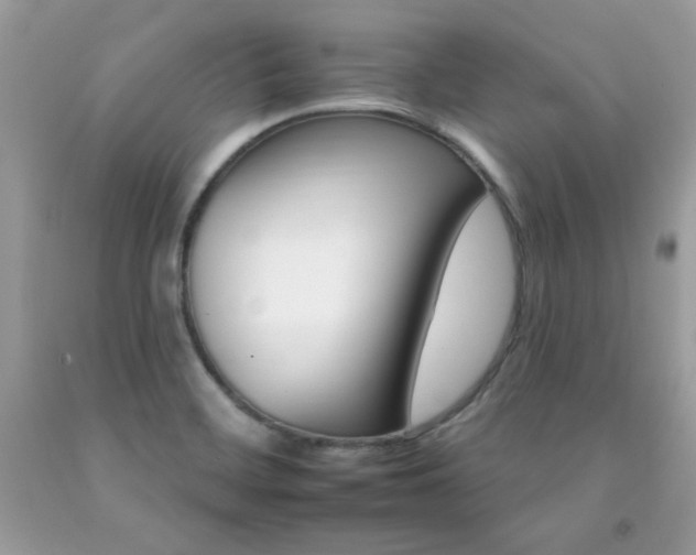 X0000092261468200709141016
