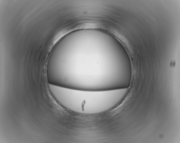 X0000092261473200709141016