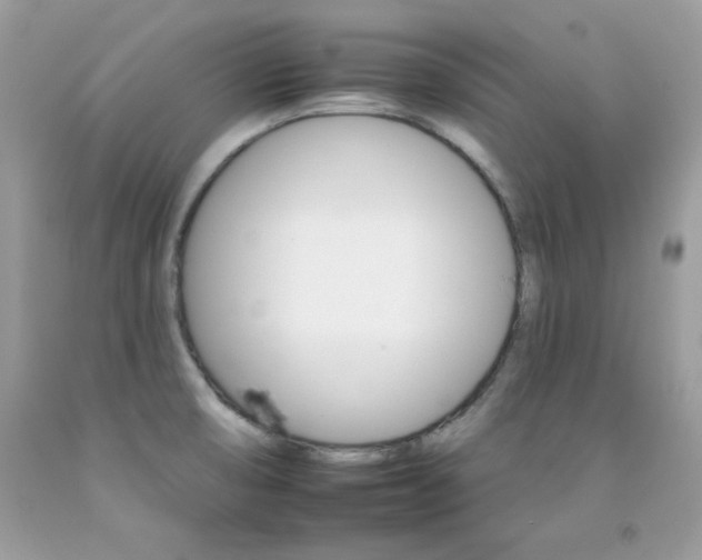 X0000092261474200709141016