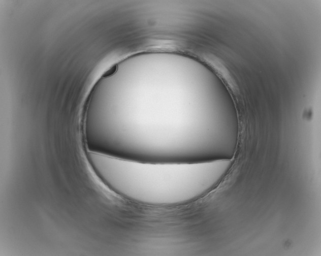X0000092261475200709141016