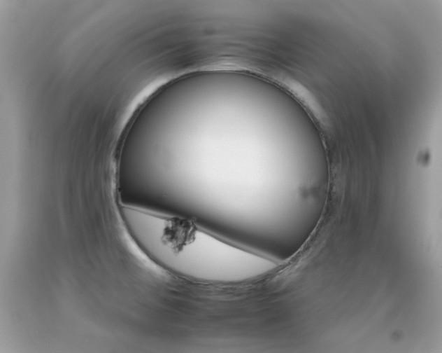 X0000092261476200709141016