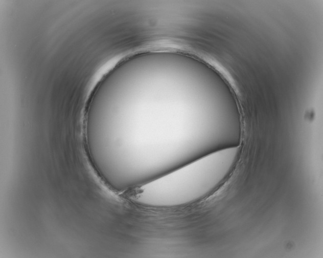 X0000092261477200709141016