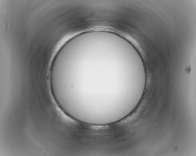 X0000092261478200709141016