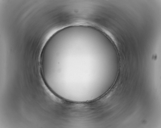 X0000092261479200709141016
