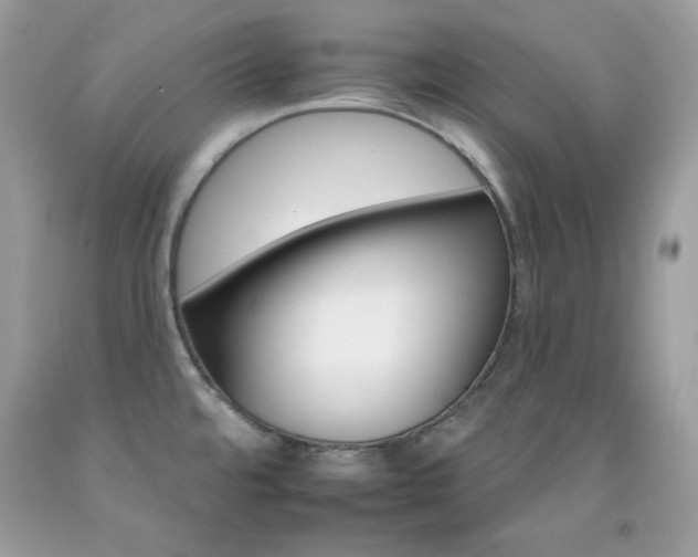 X0000092261480200709141016