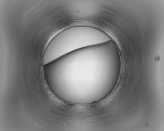 X0000092261481200709141016