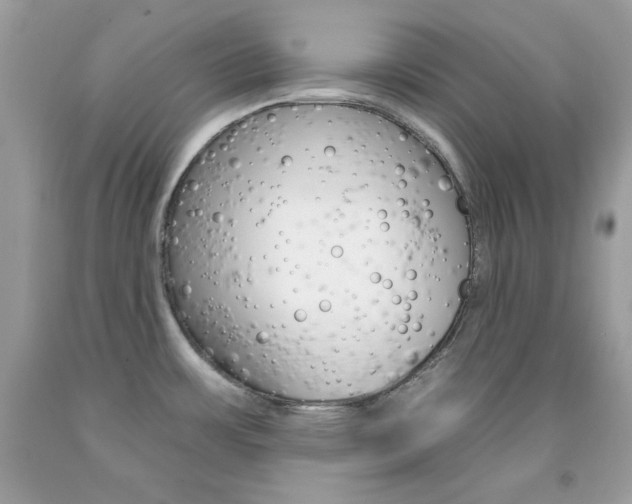 X0000092261483200709141016