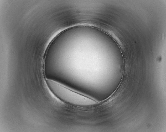 X0000092261484200709141016