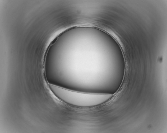 X0000092261485200709141015