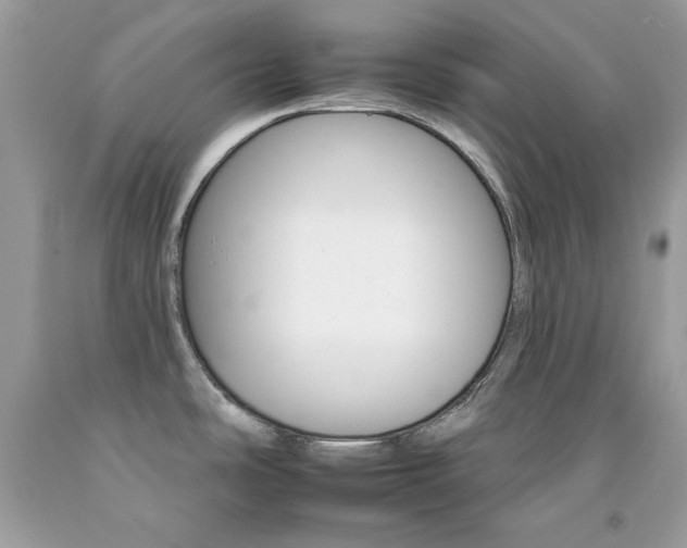 X0000092261486200709141015