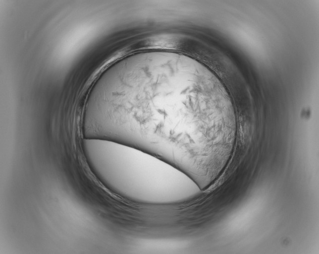 X0000092261487200709141015