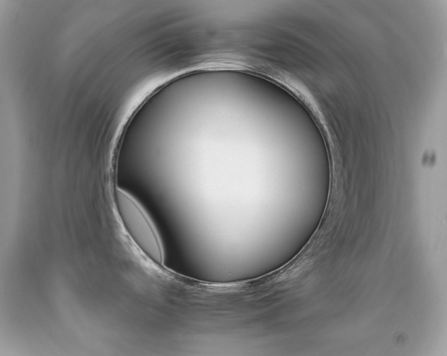 X0000092261488200709141015