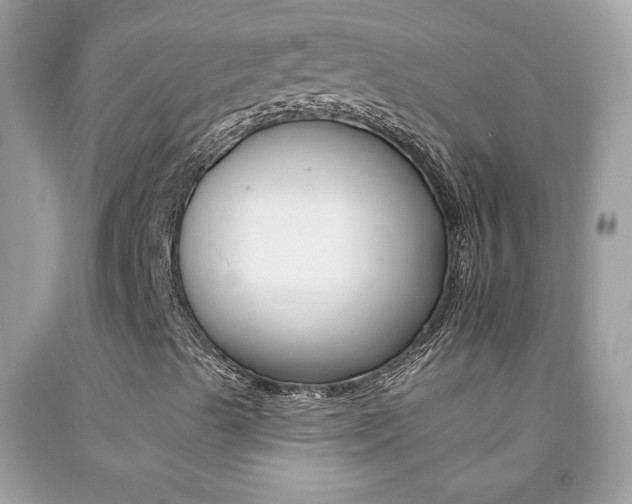 X0000092261489200709141015
