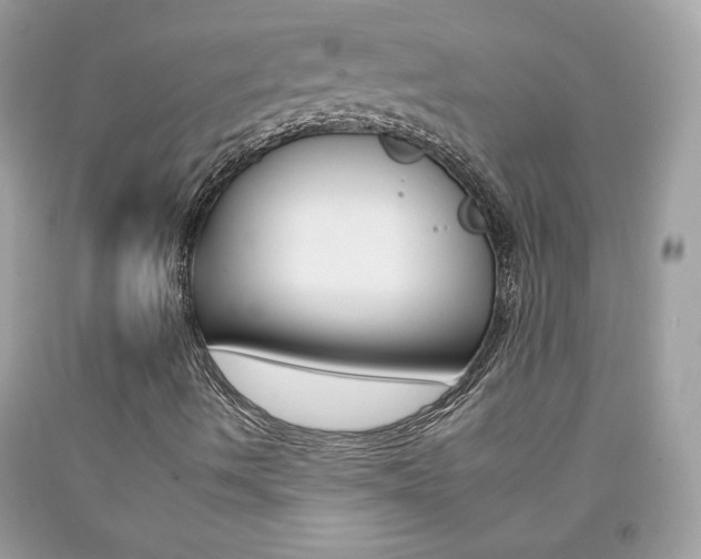 X0000092261490200709141015
