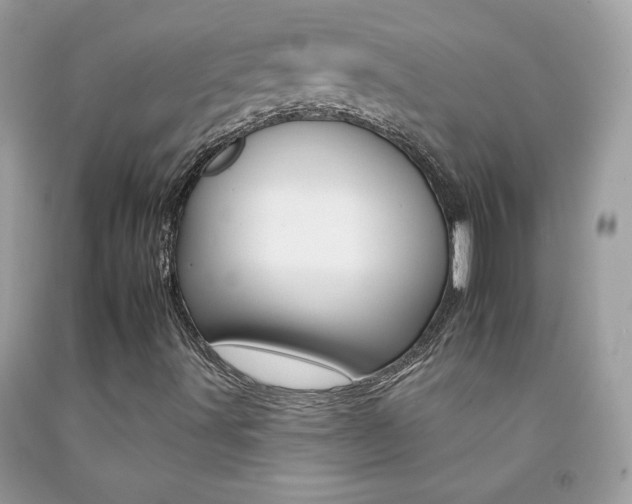 X0000092261491200709141015